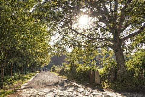 Kopie: Jakubská pouť Santiago de Compostela KOPIE